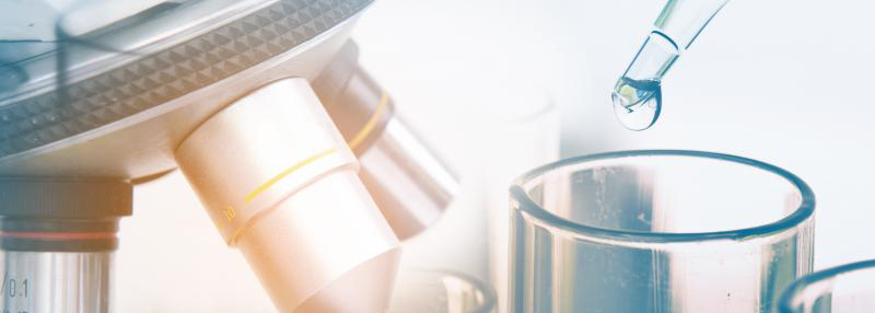 shutterstock_525972979 copy1